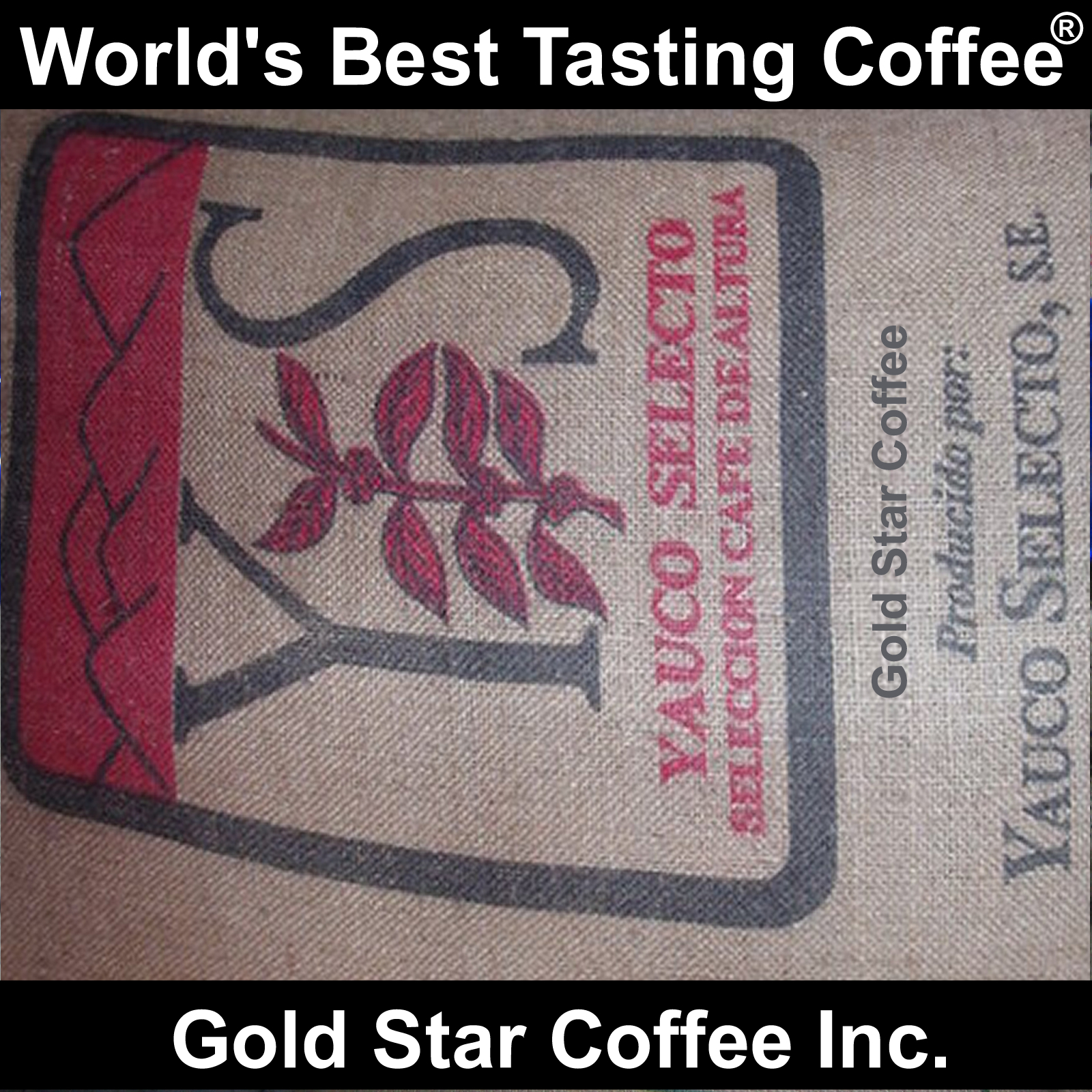 8 lb GREEN Coffee – Jamaica Blue Mountain, Peaberry, Hawaii Kona, Yauco Selecto
