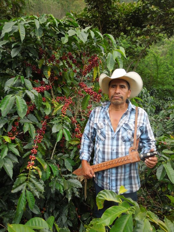 COSTA RICAN GEISHA COFFEE BEANS MEDIUM ROASTED 1 POUND BAG