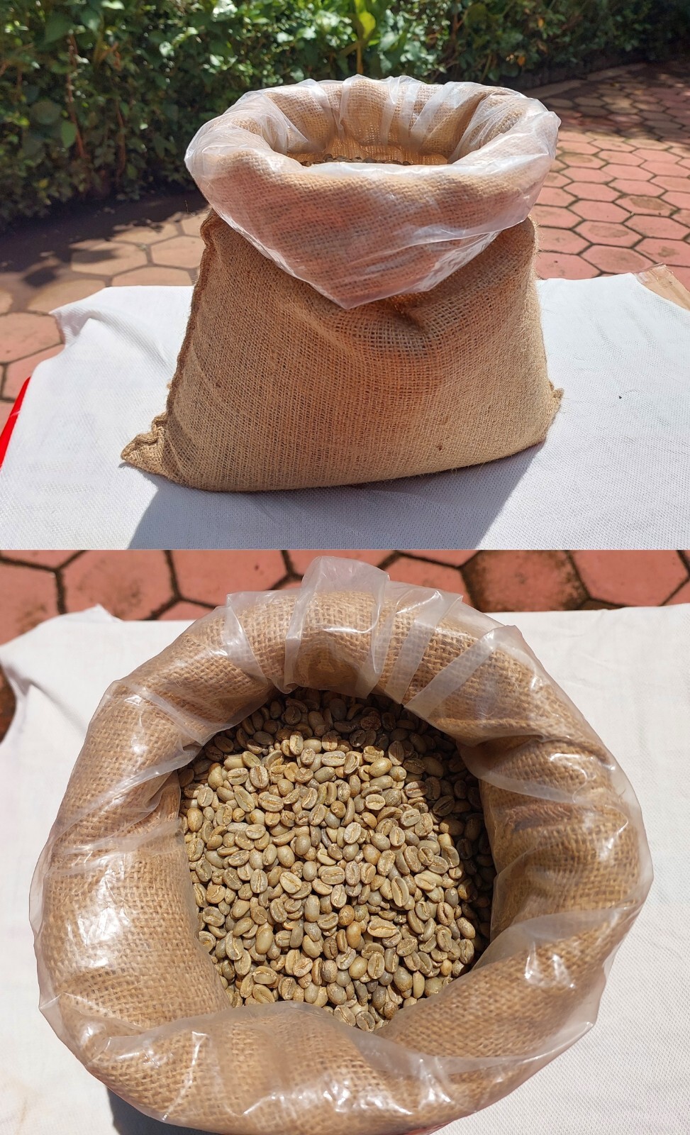 10 lb, le Cafe de Bondowoso – Kopi Luwak / Civet CoffeeArabica Bean