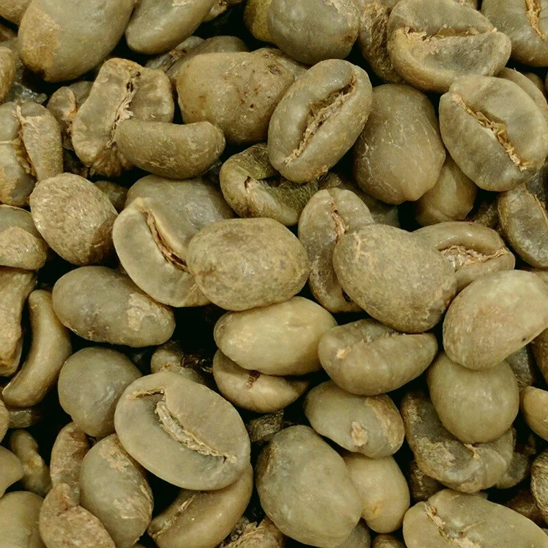 South and Central American Blend Green Unroasted Coffee 5 lb
