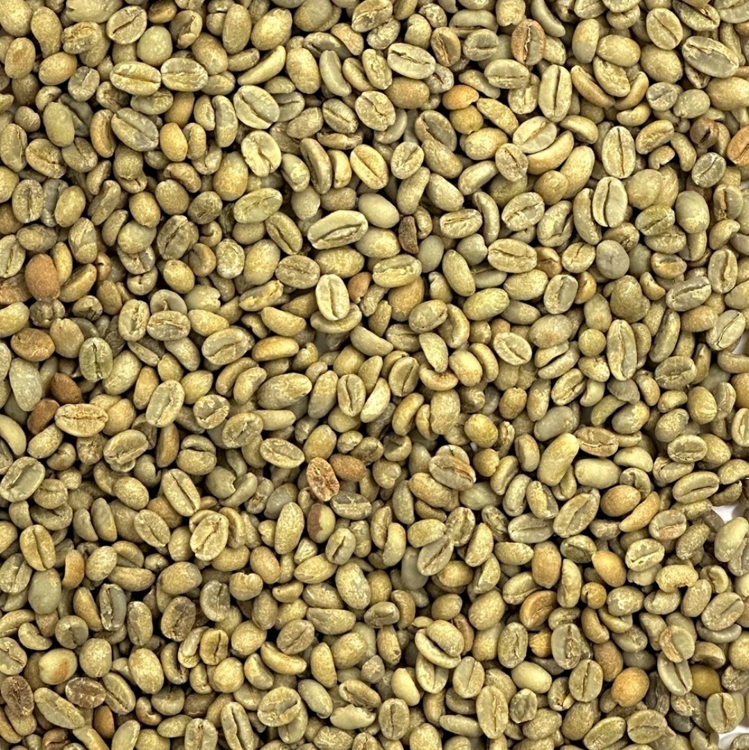 Green Coffee Beans / Ethiopian Durato Bombe Sidamo / 10 Pound / UNROASTED