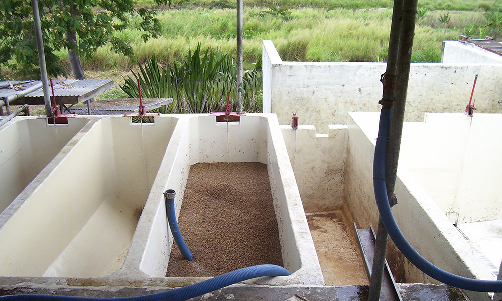 100% Hawaiian Kona Coffee Beans Medium Roasted Daily 10 Bags Each 1 Pound Bag