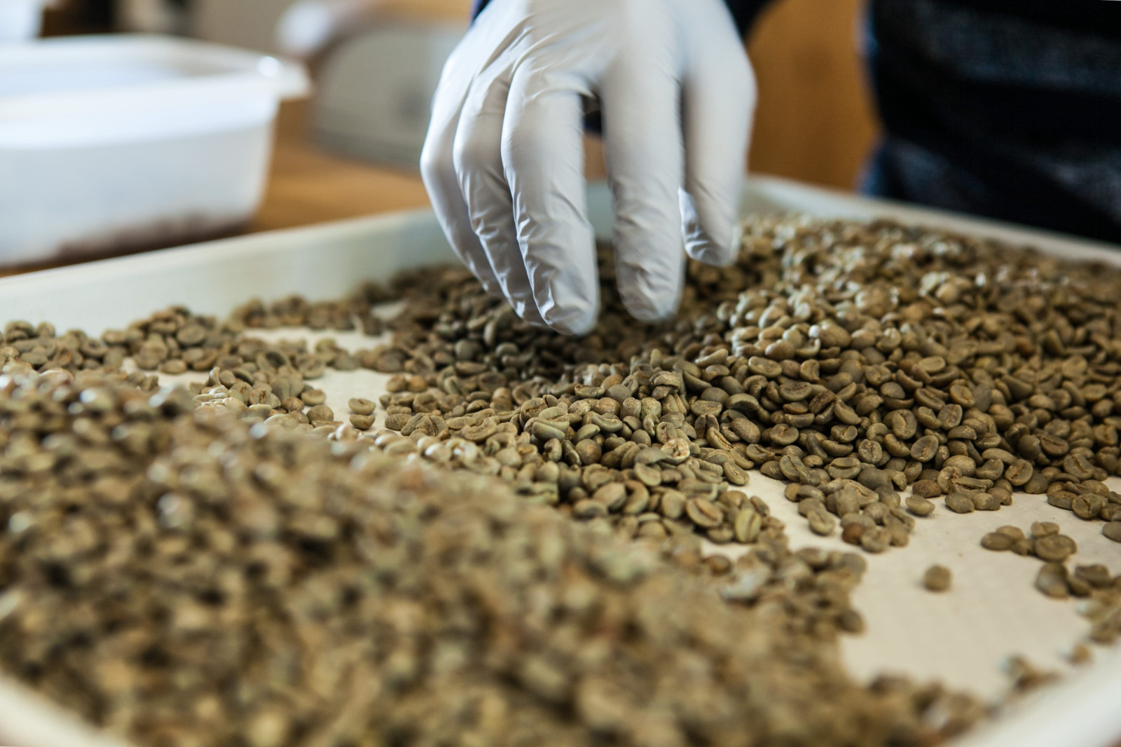 Nicaragua Green Coffee Beans – RFA SHG EP – Premium Unroasted – Smooth & Sweet