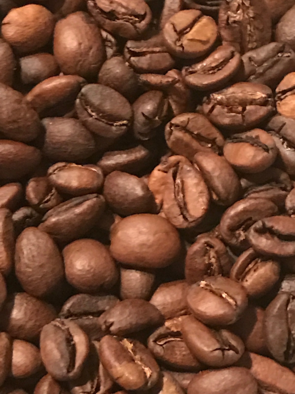 Roasted Coffee Two 12 oz. Bags Ethiopia Limu Natural Process