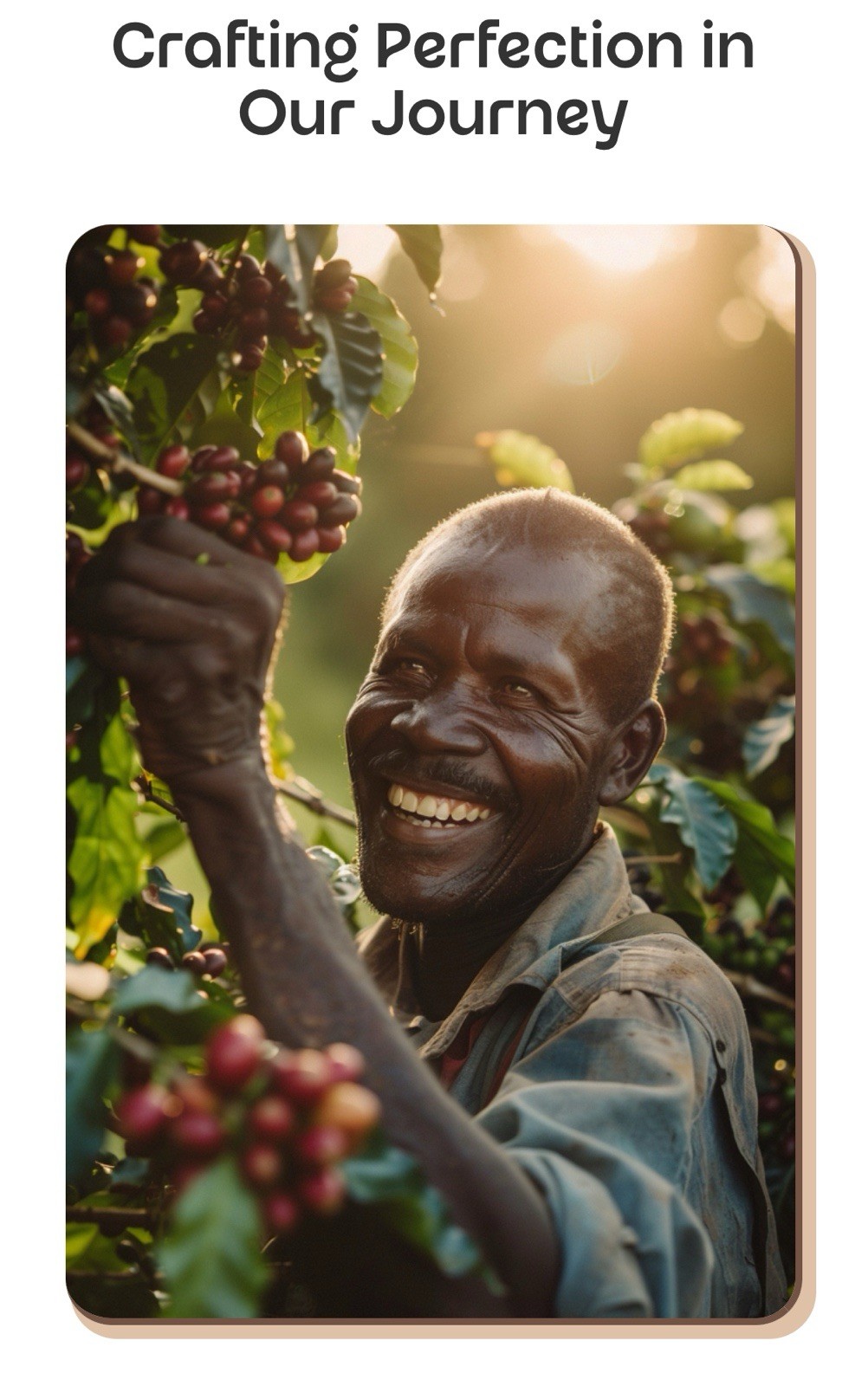 Uganda Light Roast ,Ethiopia and Columbia Medium Roast Organic Whole Bean Coffee