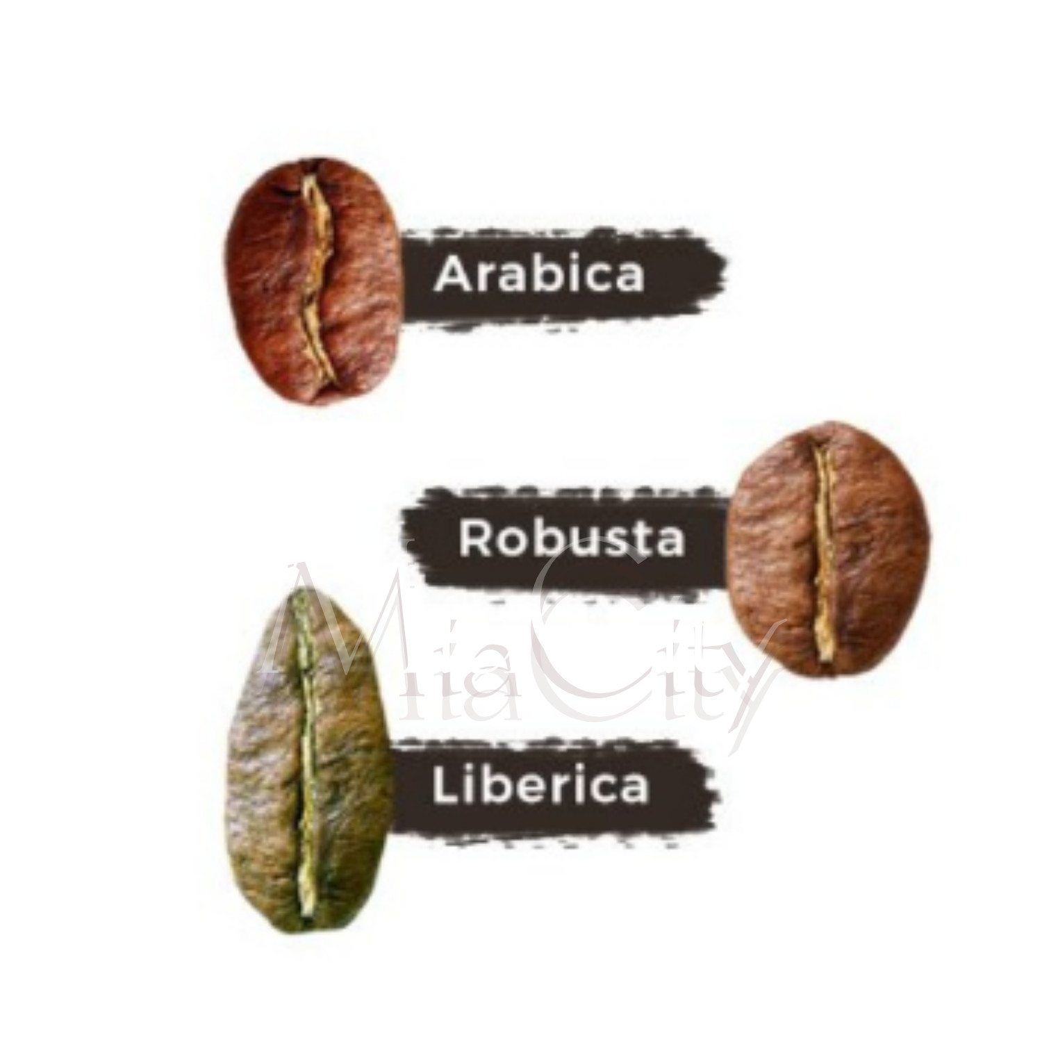 Coffee Brazil Santos Arabica,Fine, Natural Process,Fresh Roast,Medium Dark 100 g