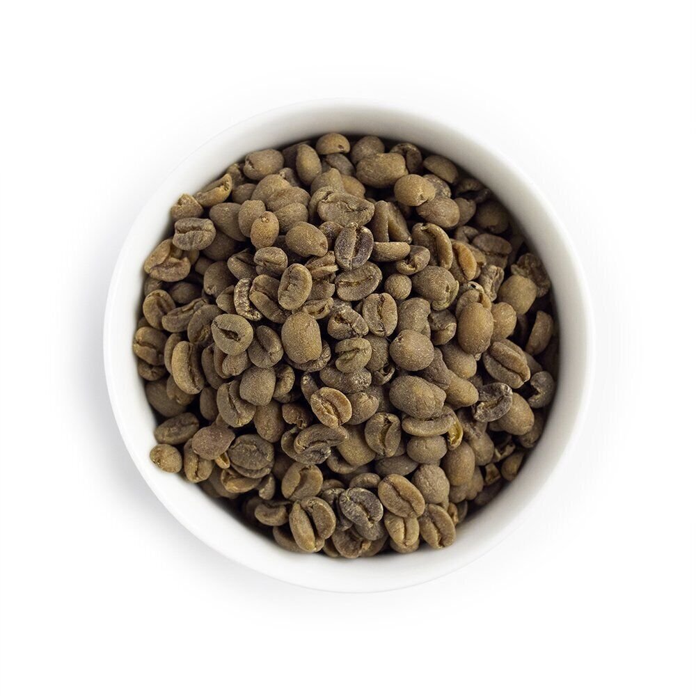 Decaf Colombian Green Coffee Beans | 5 LB Unroasted | Fresh Roasted Coffee