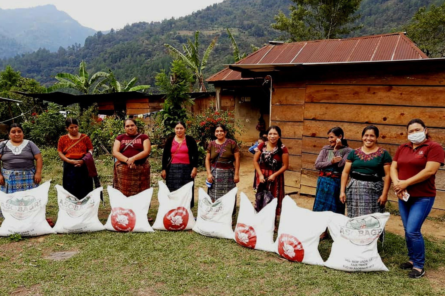 Guatemala Huehuetenango unroasted green coffee beans, Organic, coop-grown, 4lbs
