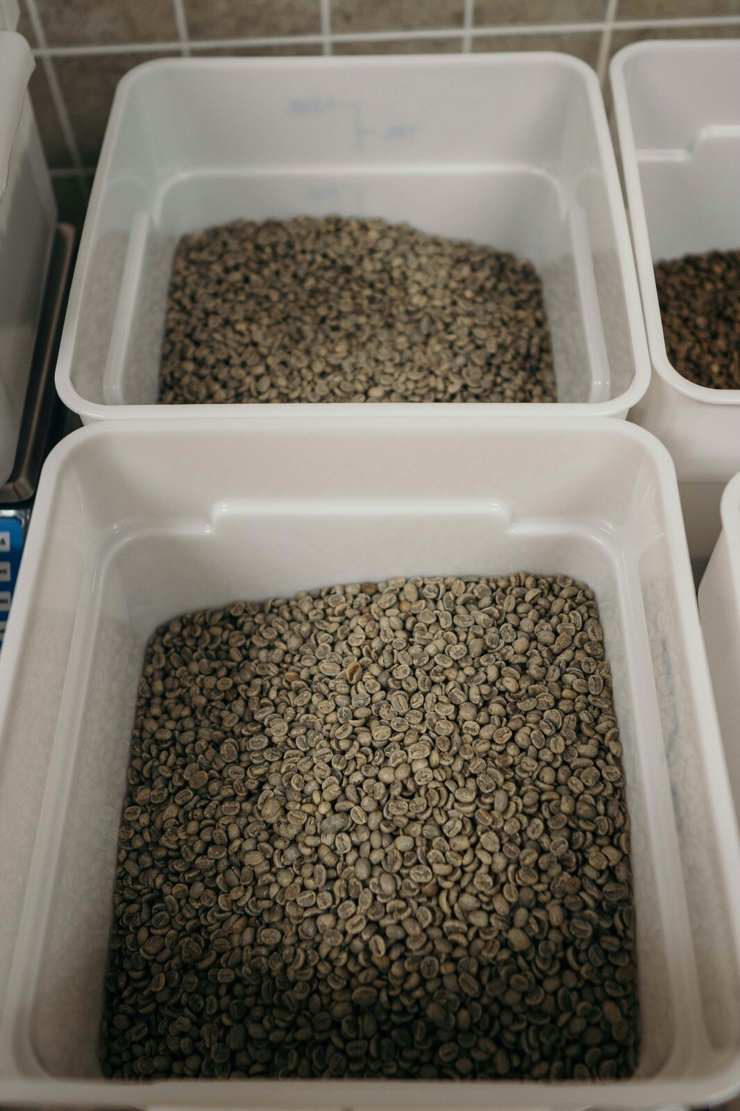 100% Rwanda (Washed) Green Beans (1 Lb.)