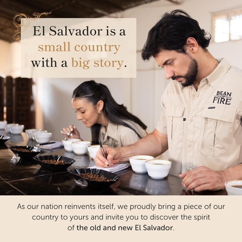 Savor 16 oz of Single Origin El Salvador Coffee – Medium Roast, Creamy & Nutty