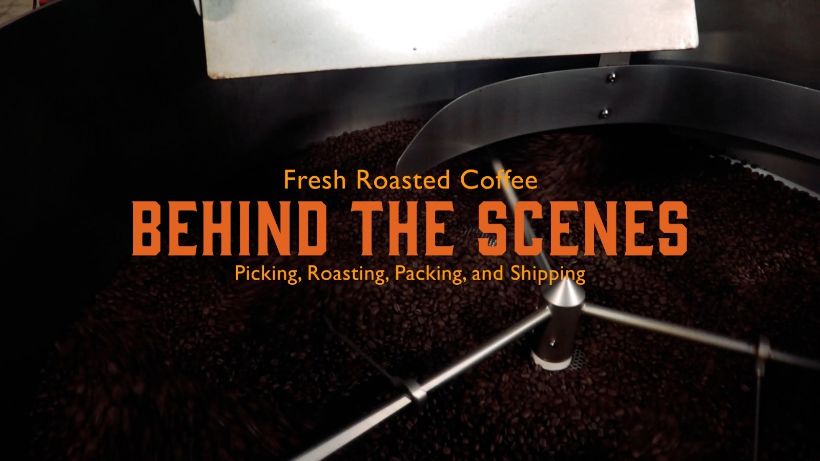 100% Costa Rican Tarrazu Coffee, Fresh Roasted Medium Roast, 5 lb Whole Bean, Ko