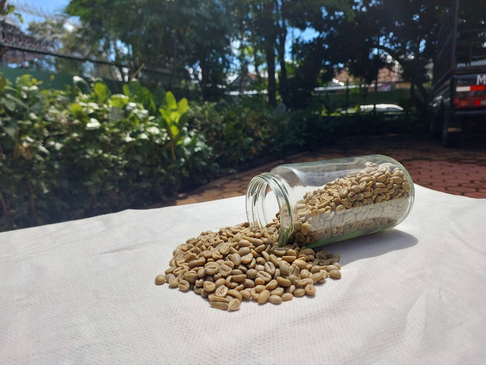 10 lb, le Cafe de Bondowoso – Arabica Coffee