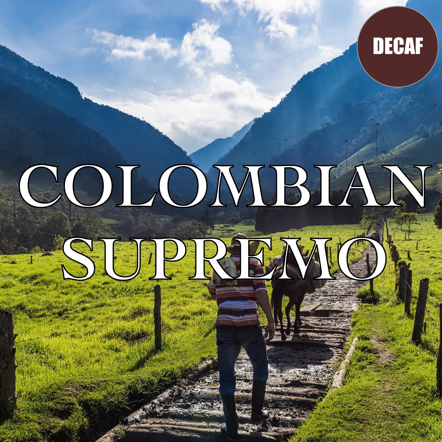 Colombian Supremo Decaf Coffee Whole Bean Swiss Water Processed 16 Oz