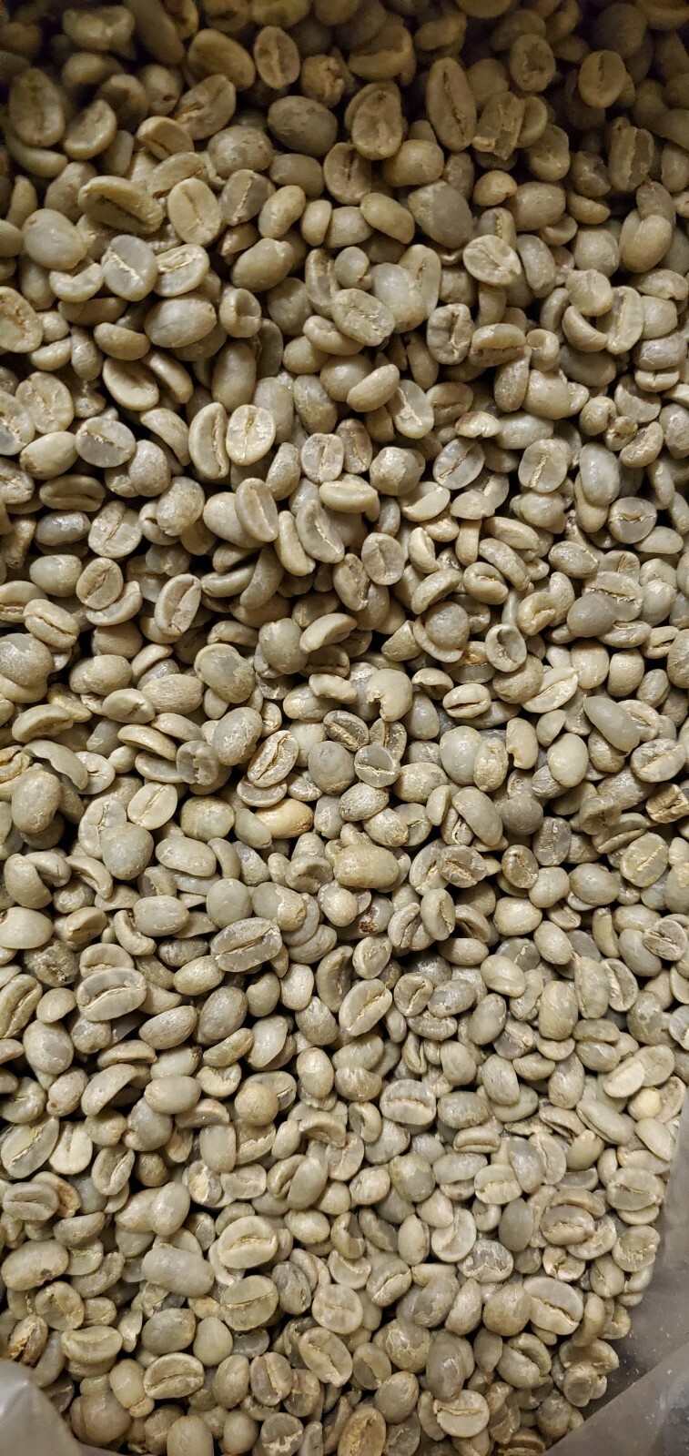 5 LB AFRICA RWANDA RWANDAN GREEN UNROASTED COFFEE BEANS FIVE POUND – ARABICA