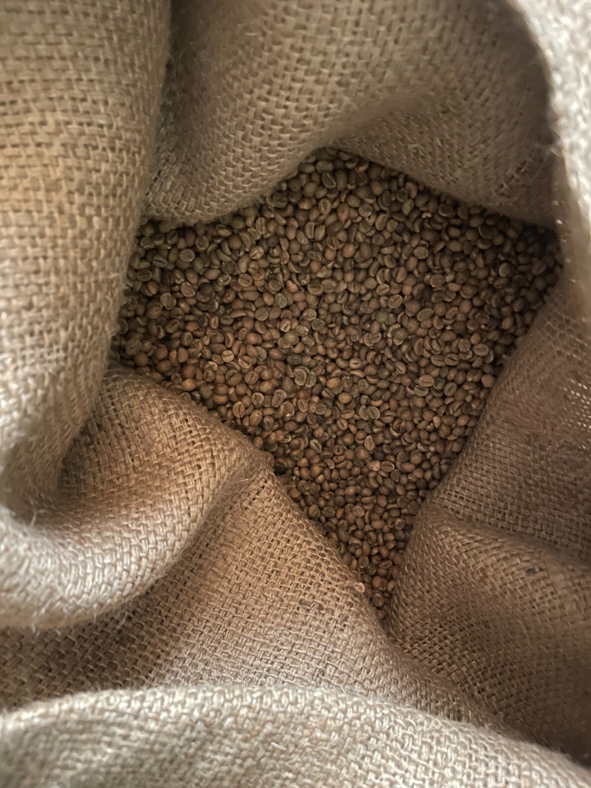 organic green Robusta coffee beans from Tanzania 2 pounds