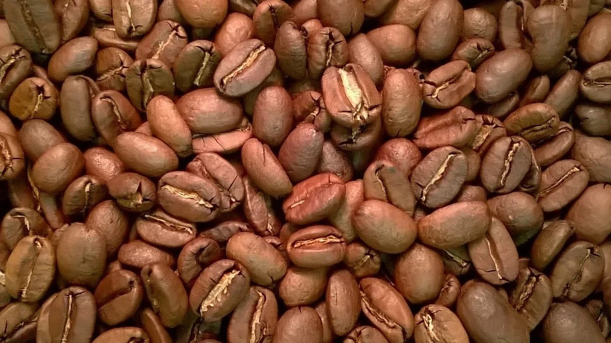 Coffee Beans / Papua New Guinea Eastern Highlands / 5 Pound / ROASTED