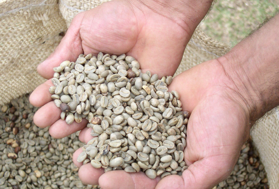 5 LB Guatemala Huehetenango SHB EP – GREEN COFFEE for home roasters