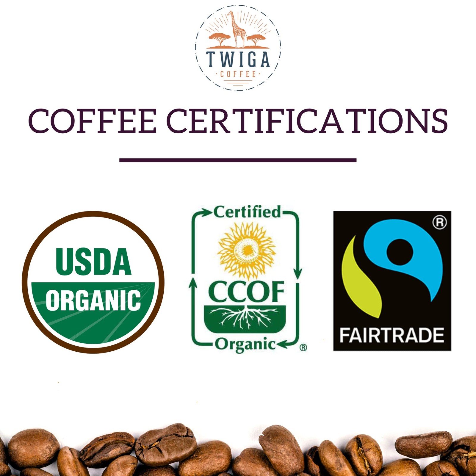 Guatemalan Premium Dark Roast Arabica Single Origin Whole Bean Coffee 12 Oz