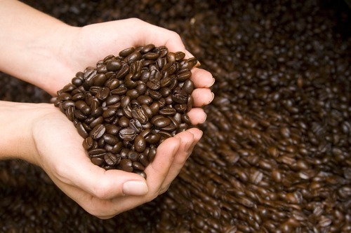 GEISHA Colombia La Esperanza Granja Coffee Beans Medium Roasted 1 Pound Bag