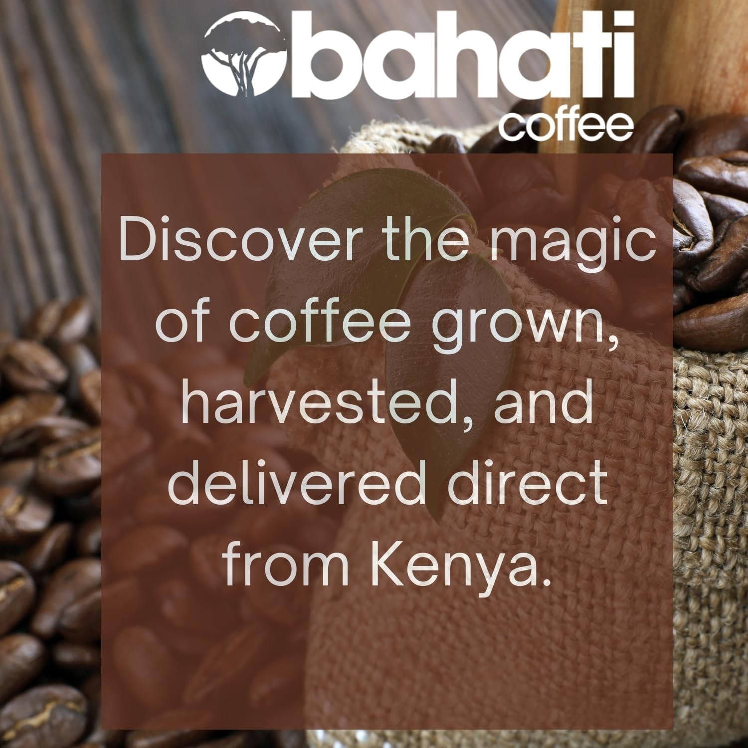 Ethically Sourced Kenya AA Arabica Coffee – 100% Pure Medium Roast Beans 2 LB