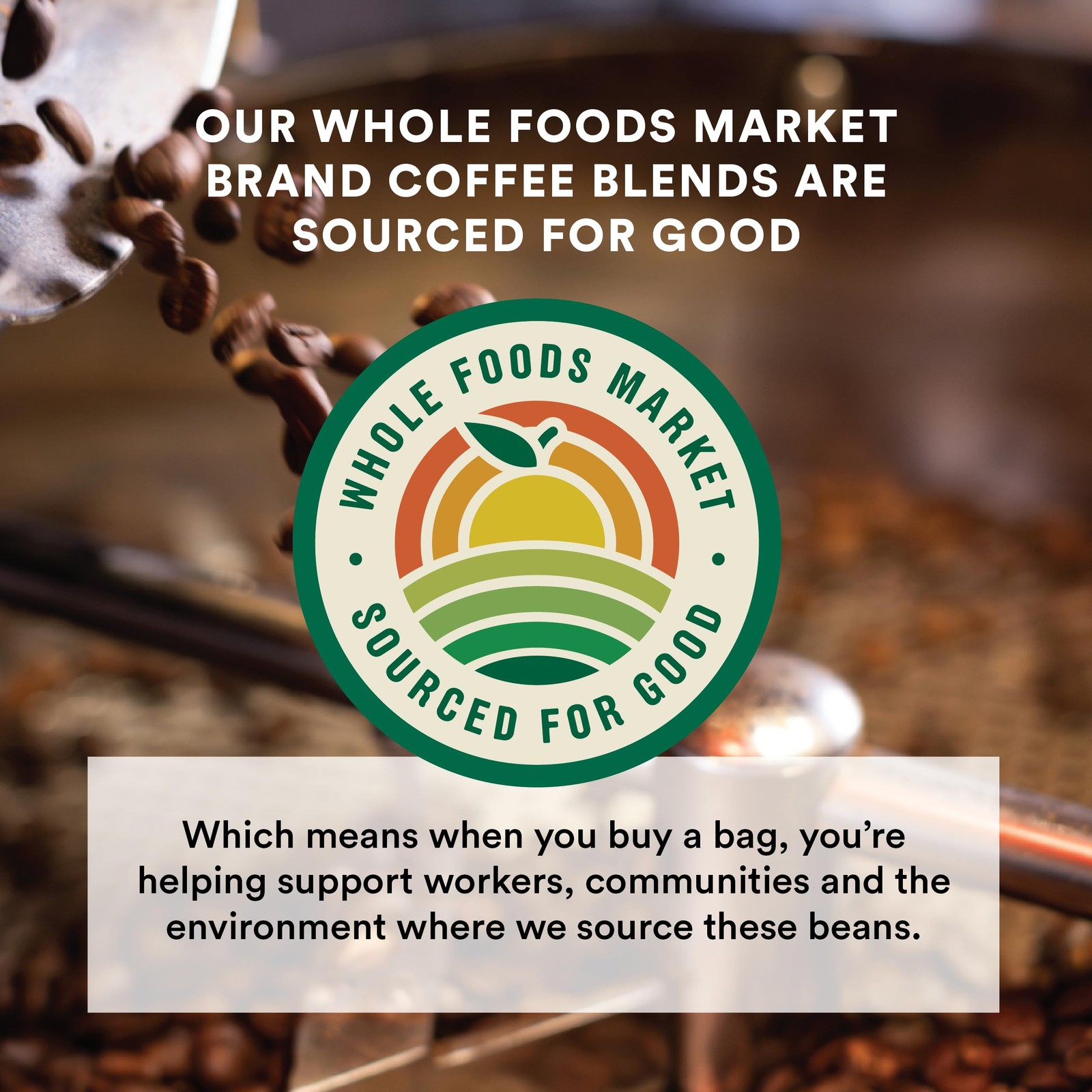 Organic Sierra Blend Whole Bean Coffee, Medium-Dark Roast, Dark Chocolate & Cara