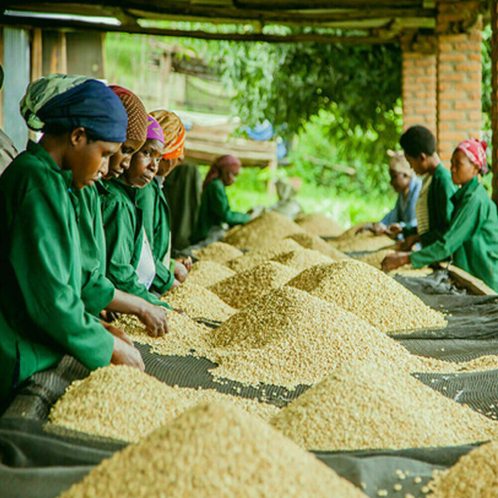 RWANDA COFFEE BEANS MEDIUM ROASTED 2 POUNDS