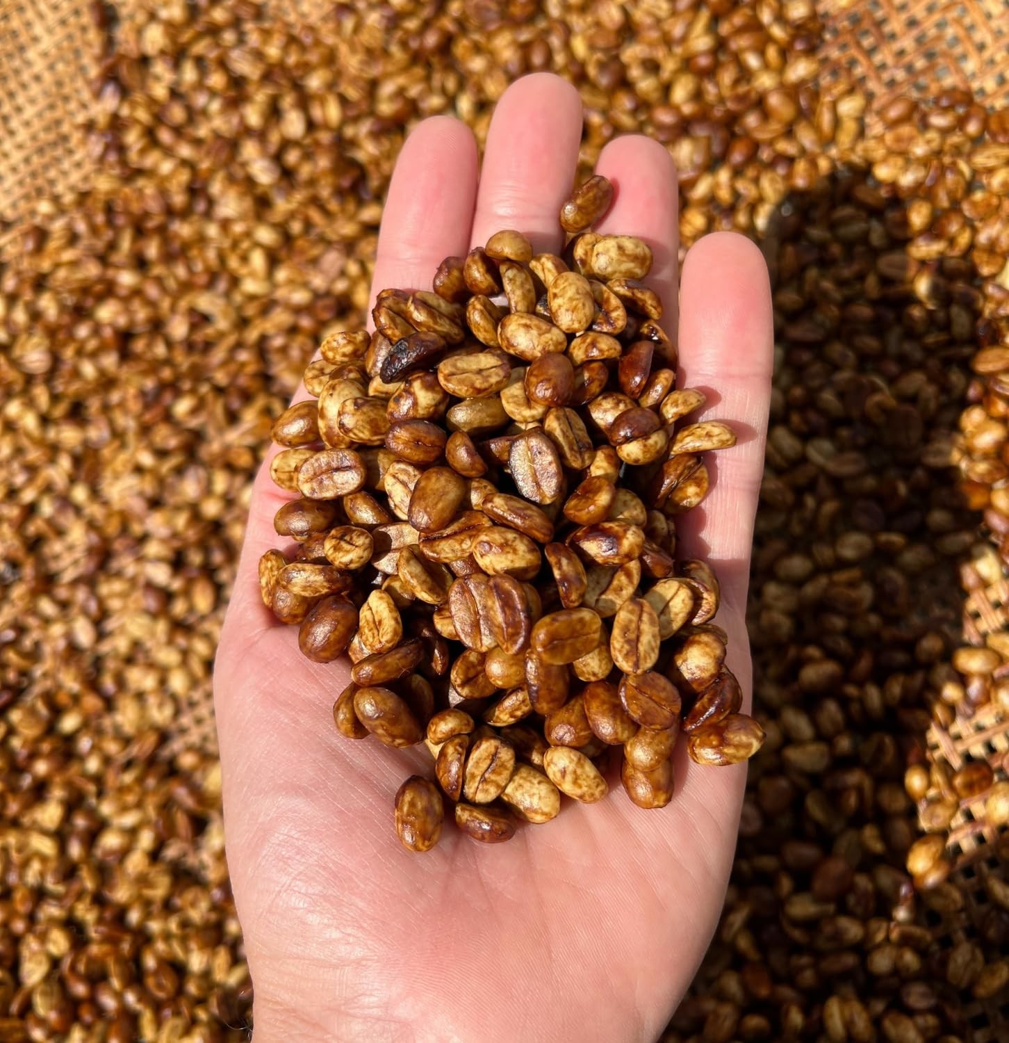 8.8oz 250g Specialty Brazilian Whole Bean Medium Roast Honey Coffee Origin