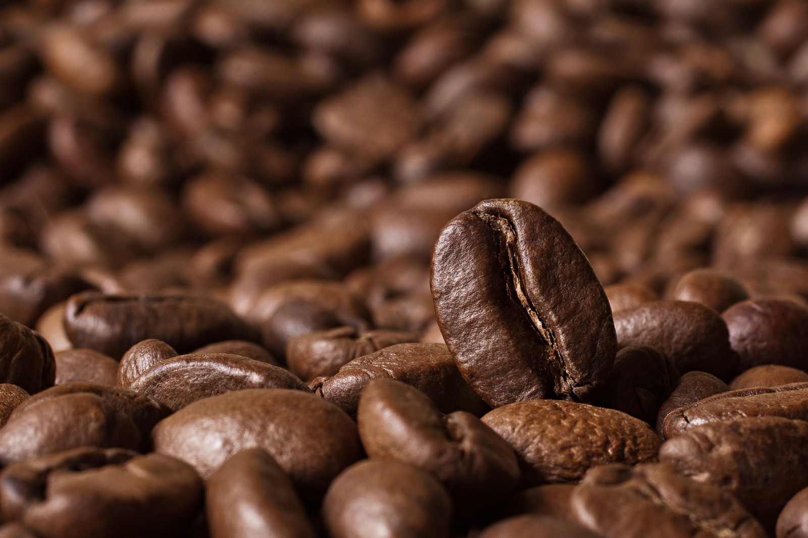 2026. COFFEE – Colombian Supremo Medellin – 8 oz bag – Medium Roast