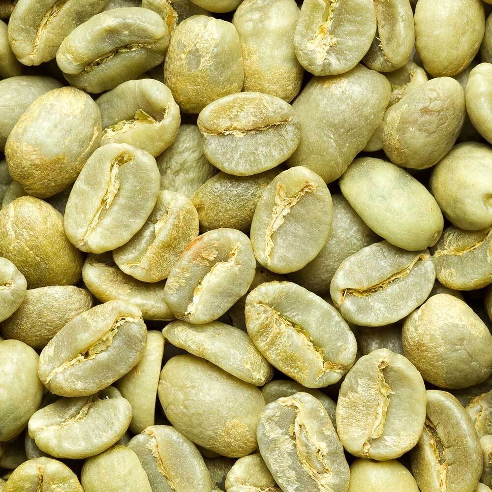Colombian Supremo Coffee Green Bean / Unroasted/ 5 LBS New Crop 2023 SHIPS FREE!