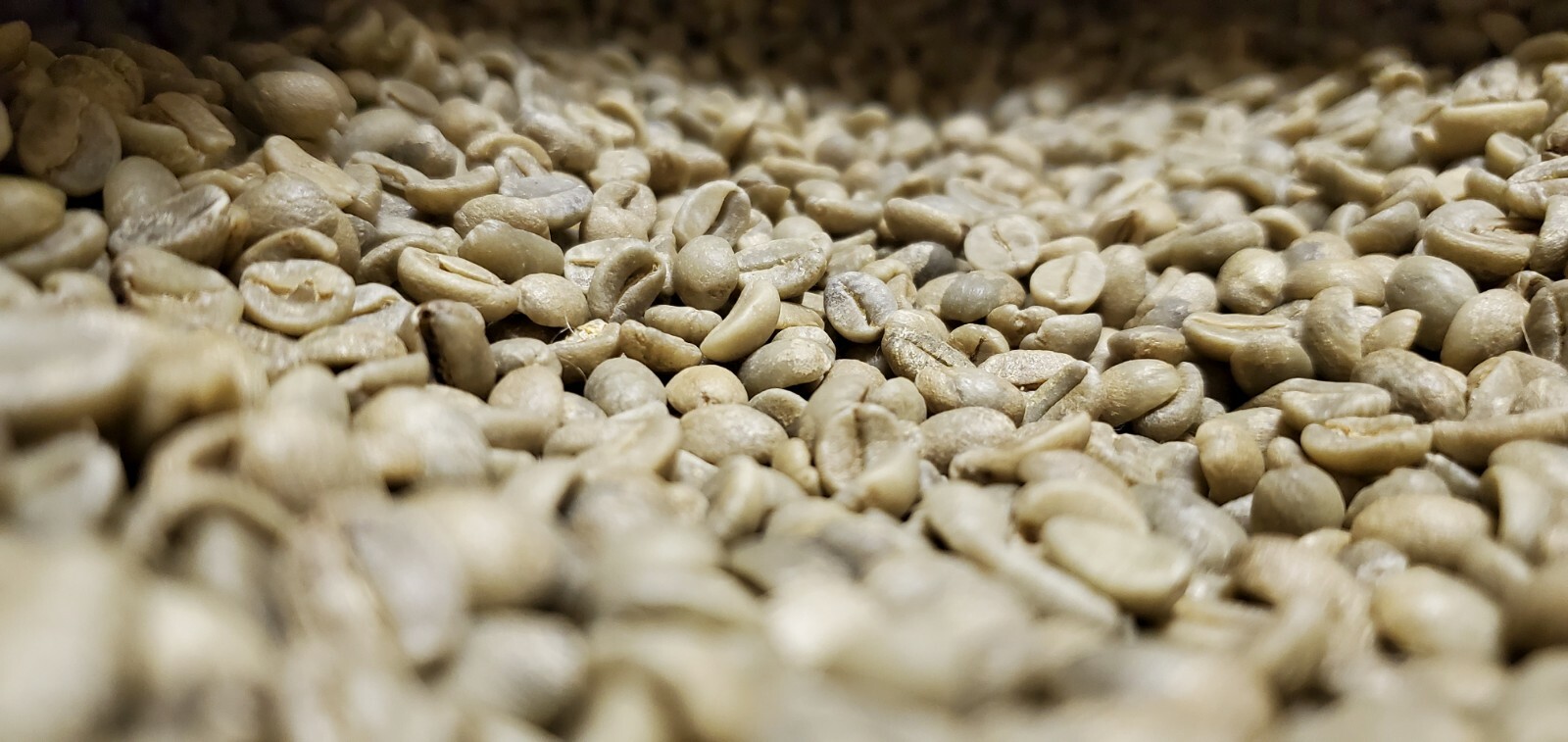 5 LB INDONESIA INDONESIAN JAVA UNROASTED GREEN COFFEE BEANS – ORGANIC ARABICA