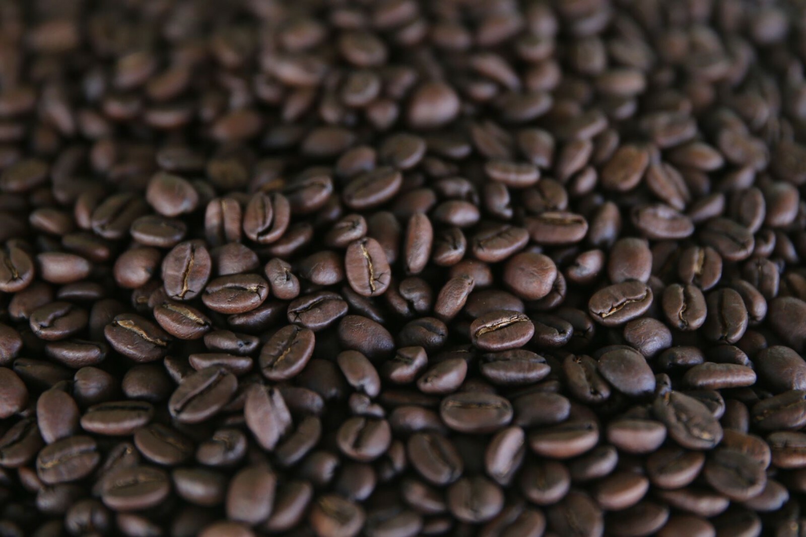 3 LB BEST SELLER SAMPLE PACK PERU, BRAZIL, COLOMBIA ROASTED COFFEE – ARABICA