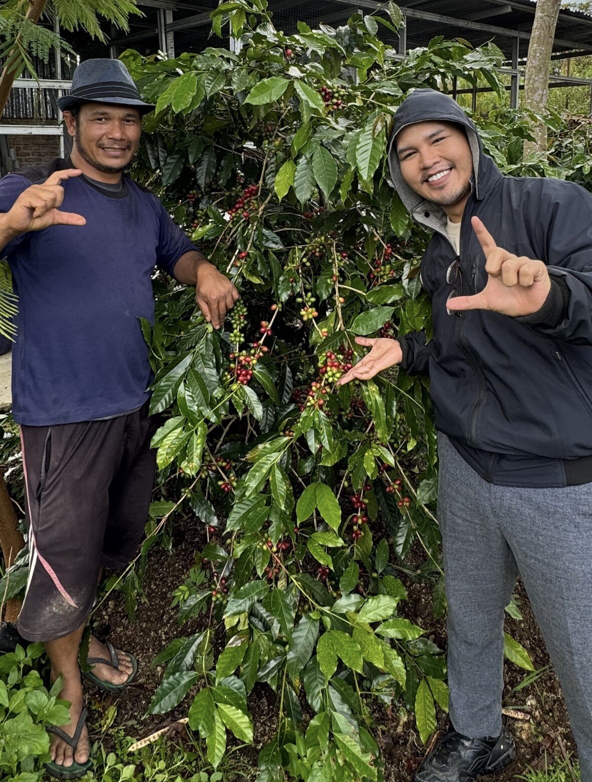 1 lb 100% Certified Wild Kopi Luwak—Freshly Roasted To Order! READ DESCRIPTION!!