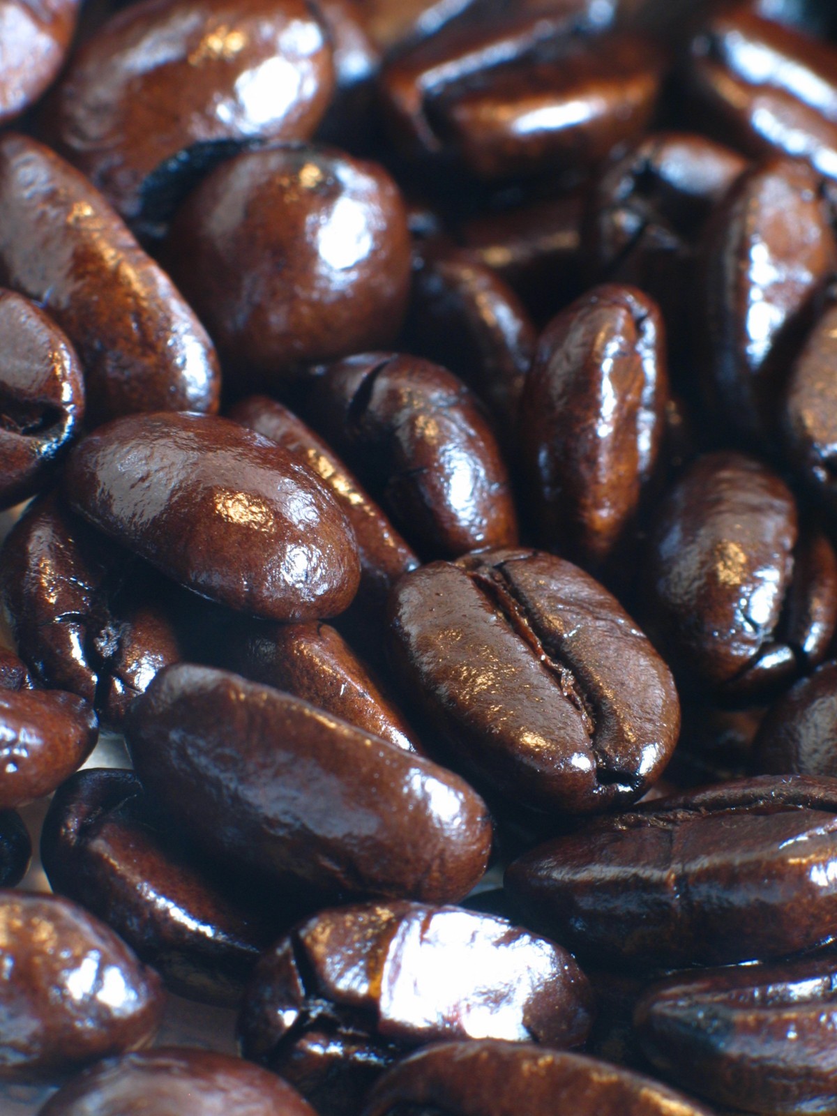 American Blend 5 LBS Whole Bean- Medium Roast -Great deal, Good coffee Free Ship
