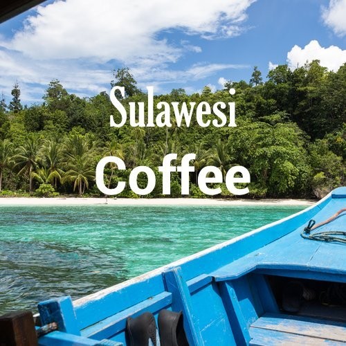 Sulawesi Coffee Celebes Kalossi Whole Bean Fresh Roasted 16 Ounce Bag Premium