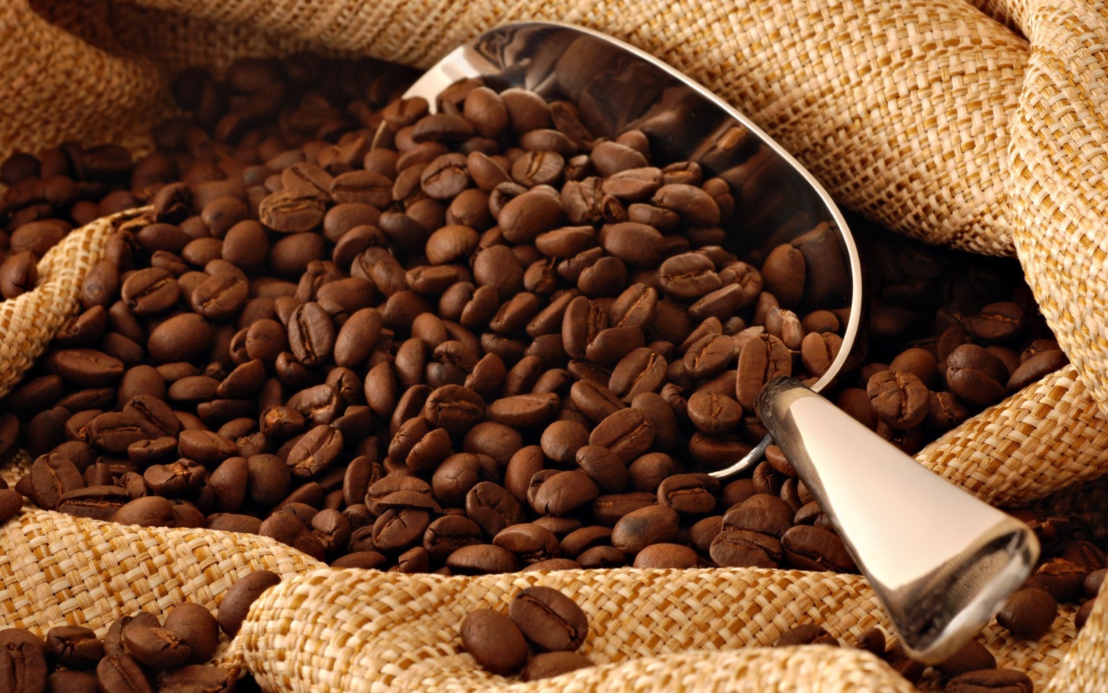 Miscela d’Oro Gran Gourmet Espresso Beans 1.1 lb – Smooth Italian Medium Roast