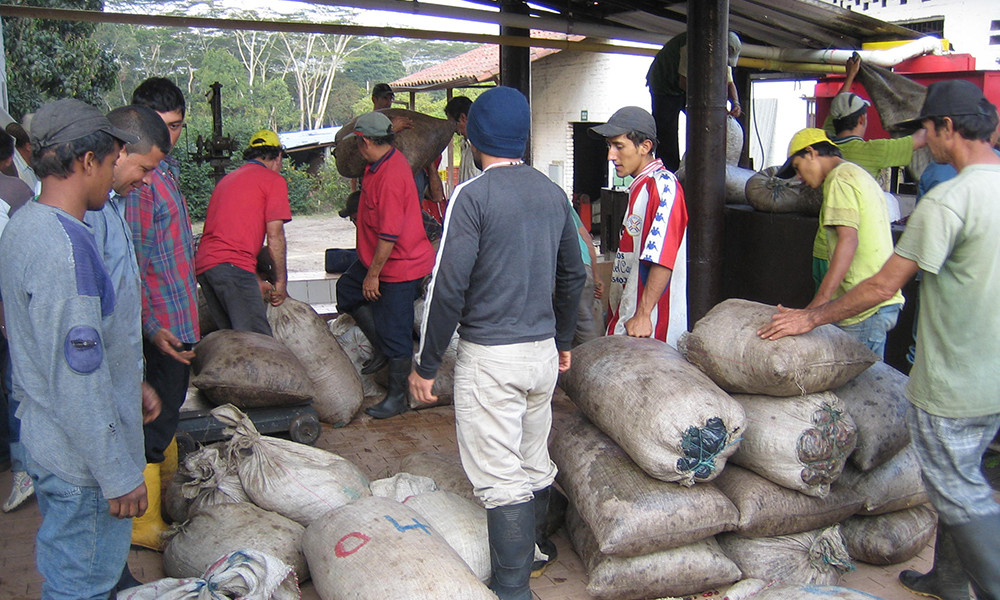 Colombian Supremo Coffee Beans Fresh Roasted Daily Medium 2 Bags 1 Pound Each!
