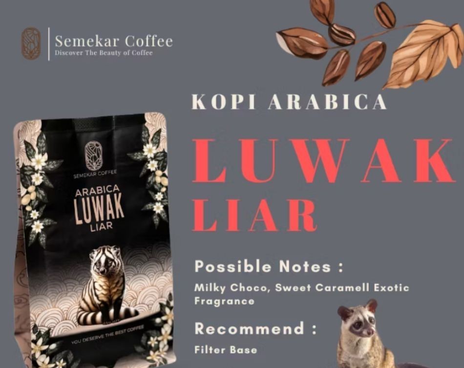 Coffe Luwak Liar Aceh Gayo Premium Roasted Beans 200g