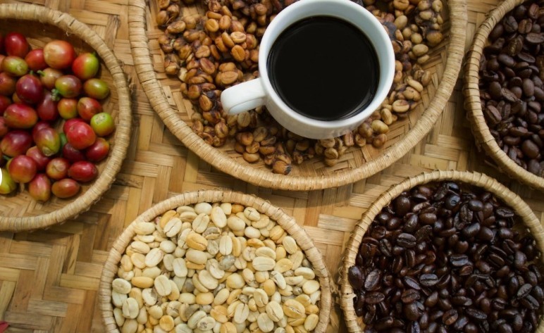 5 LB COLOMBIA COLOMBIAN UN-ROASTED FRESH GREEN COFFEE BEANS – ARABICA