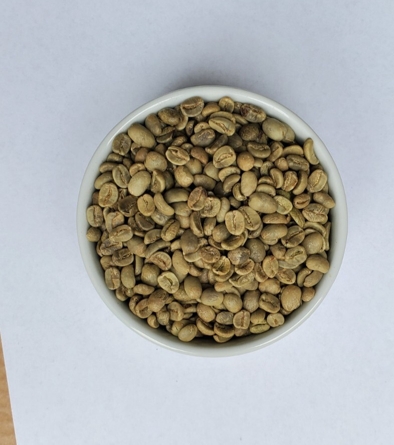 5 LBS HONDURAS HONDURAN FRESH UNROASTED GREEN COFFEE BEANS – ORGANIC ARABICA
