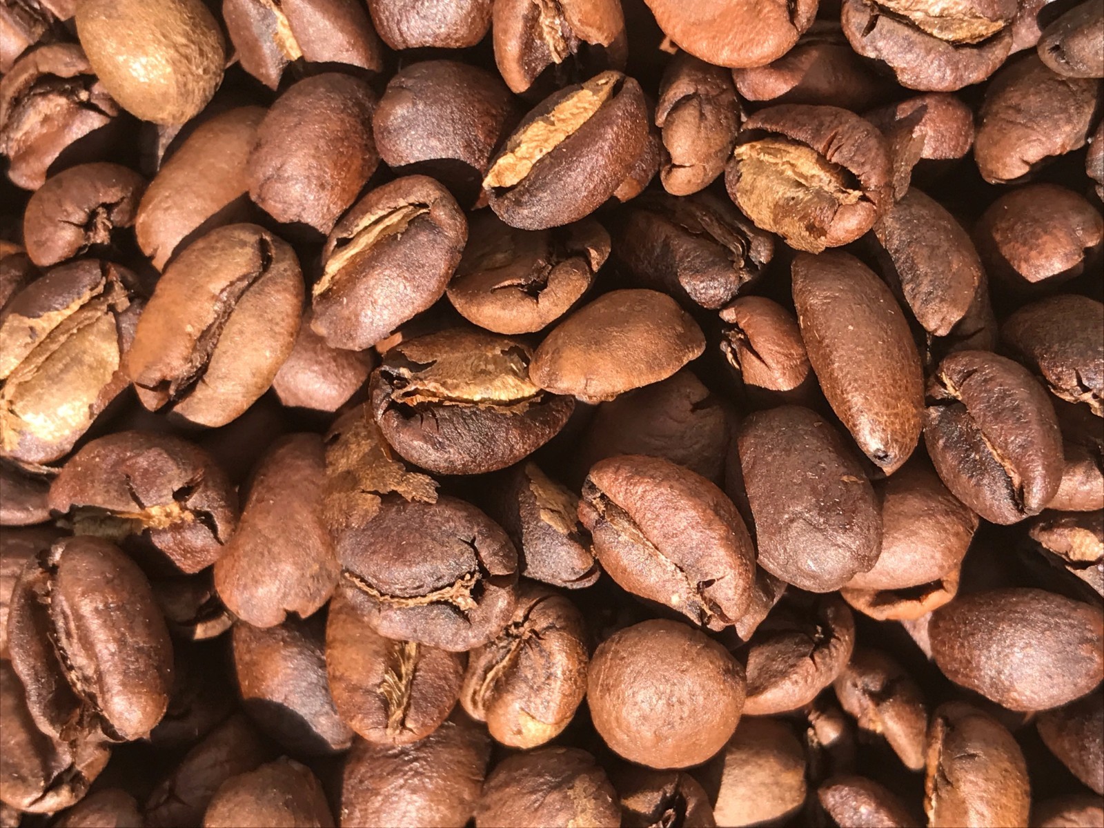 Roasted Coffee 5 pound bag Ethiopian Yirgacheffe Natural Process