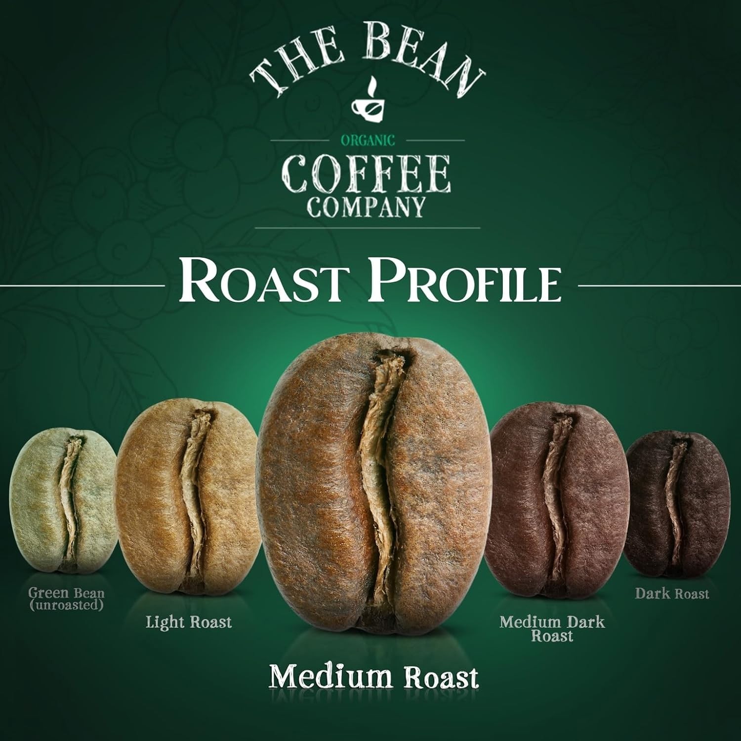 Sustainable Organic Mocha Java Medium Roast Whole Bean Coffee (2 Bags)