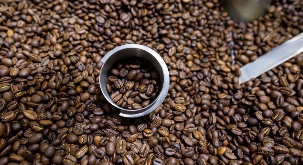 México organic Whole Beans 1 Pound