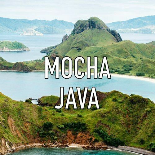 100% MOCHA JAVA COFFEE BEANS DARK ROASTED 5 POUNDS