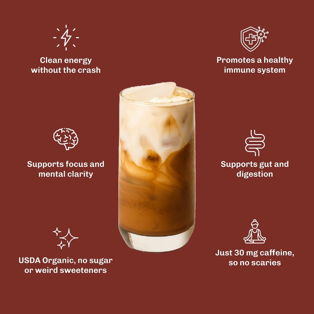 MUDWTR Organic Vanilla Chai Mushroom Coffee Alternative – 2.1oz
