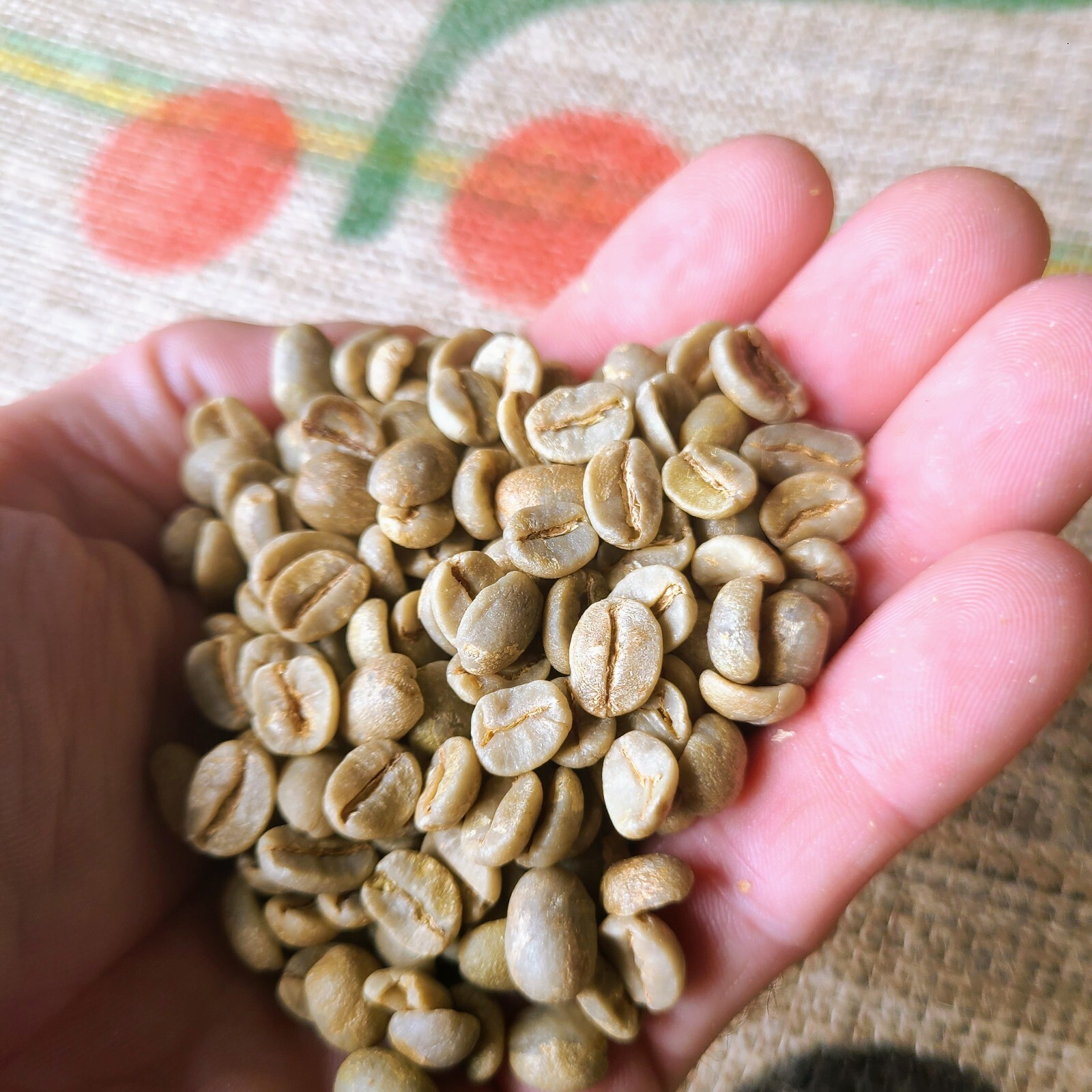 BRAZIL CERRADO COFFEE BEANS UNROASTED-GREEN COFFEE BEANS 15/16