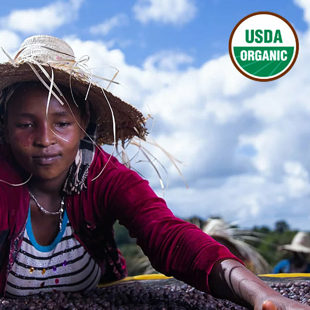 ORGANIC ETHIOPIA BUKU SAYISA BLUEBERRY HONEYDEW JASMINE GREEN COFFEE BEAN 1 LB