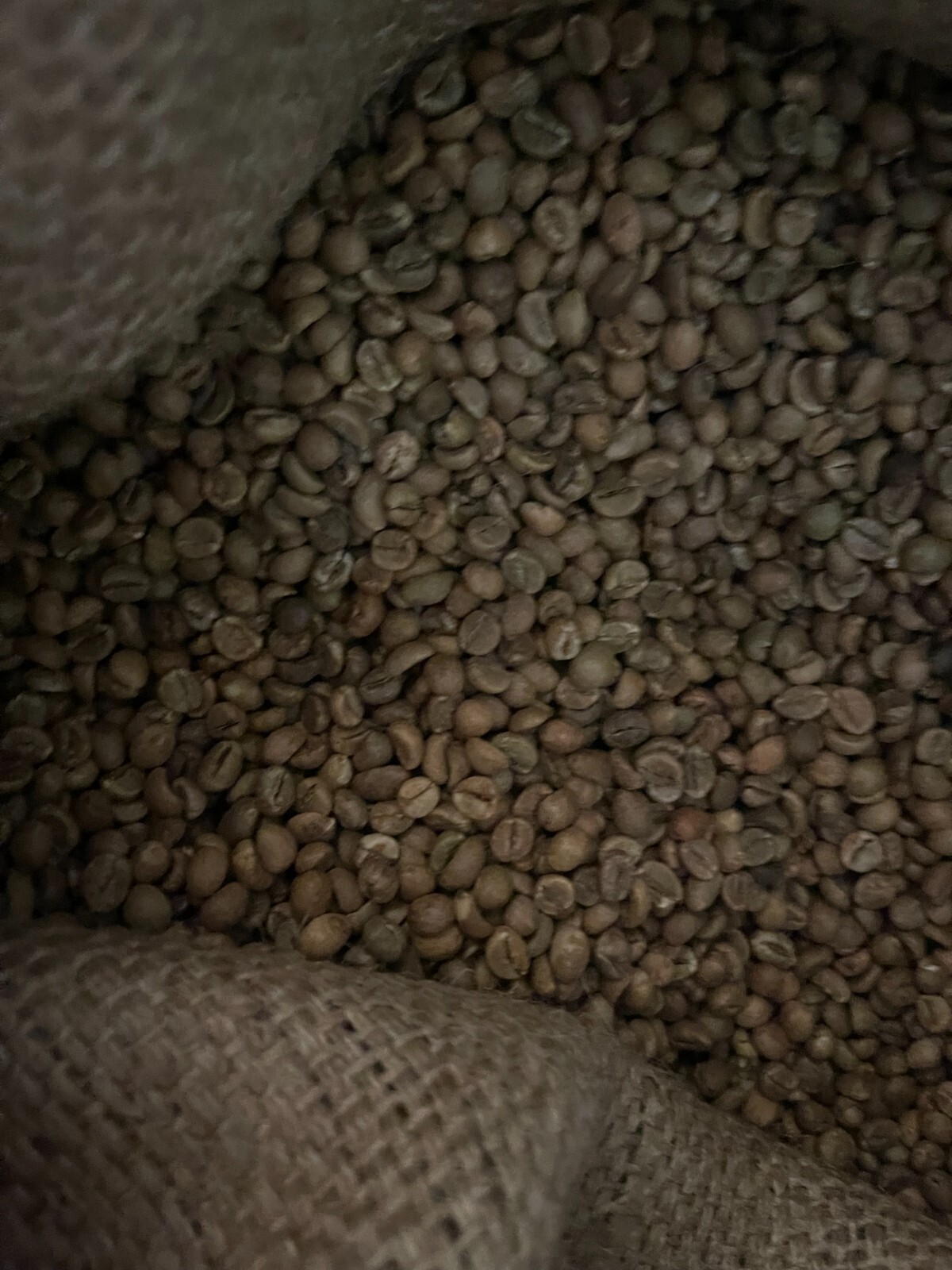 organic green Robusta coffee beans from Tanzania 2 pounds