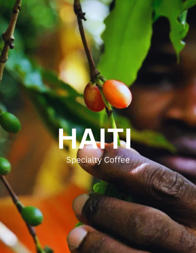 5 LB HAITI HATTIAN GREEN UNROASTED COFFEE BEANS FIVE POUND – ARABICA