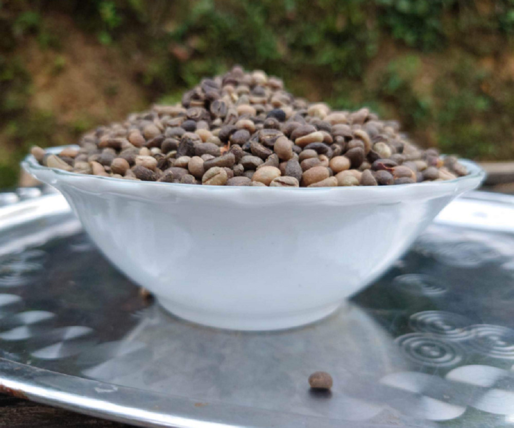 Ceylon Black Coffee Seed Pure Natural Fresh Sun Dried Beans 100% High Quality