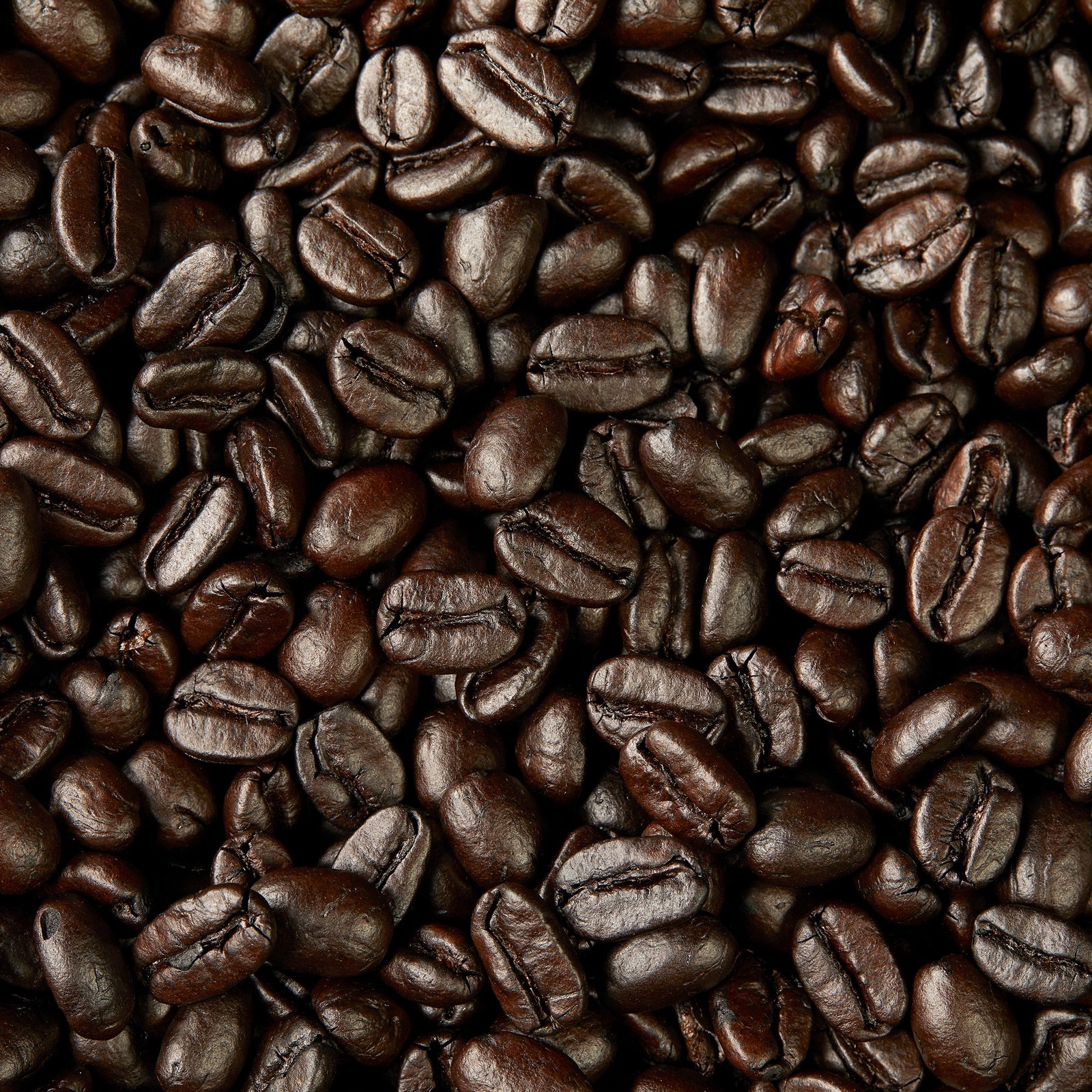 KIRKLAND SIGNATURE FRENCH ROAST COFFEE 2.5 LB